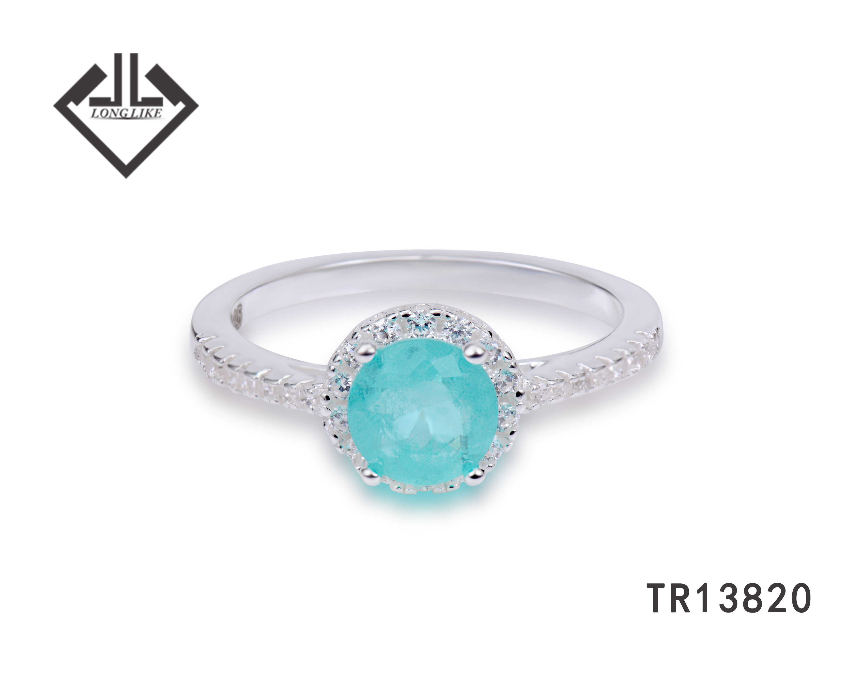 TR13820